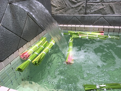 むらさき湯の写真