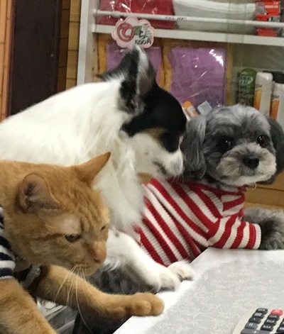 むらさき湯の写真